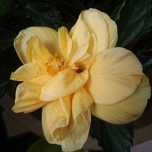 Meet your Posher, Bibi